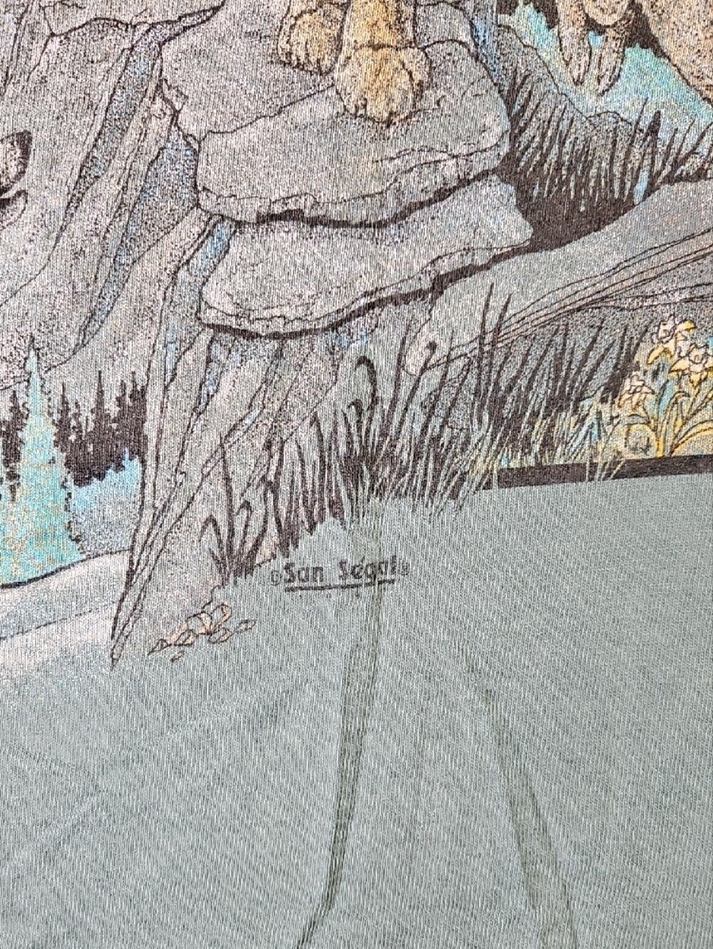 Vintage 1990s Lassen Volcanic National Park Wildlife Graphic Tee Single Stitch - Picture 4 of 11